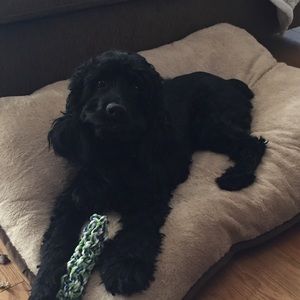 Meet your Posher, Keith